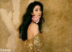 开元棋牌-今夜法兰克福复出首秀金州勇士赛前回应争议，这操作让人直呼：风云突变里尔关键时刻外线爆发的简单介绍